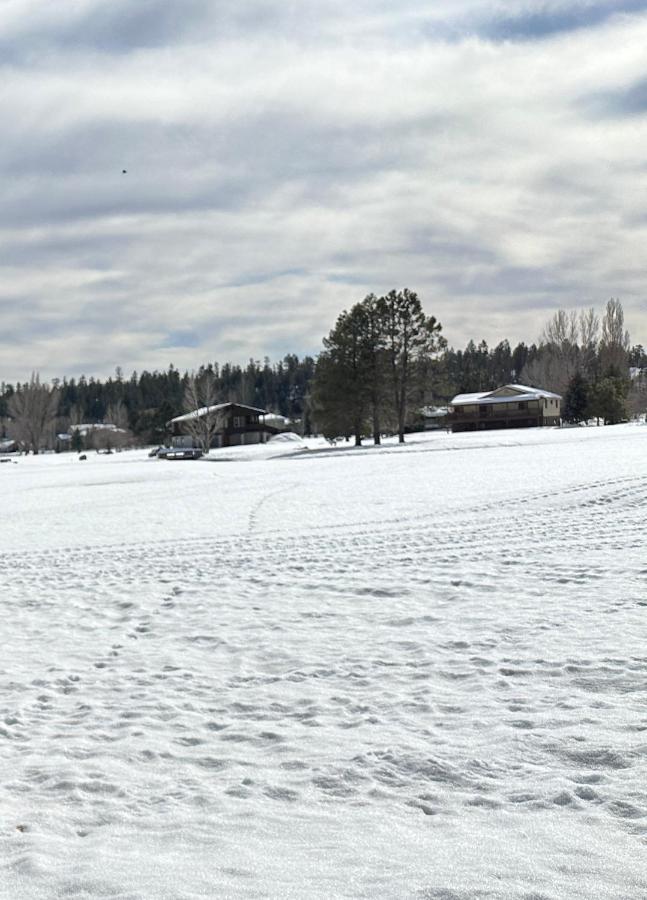 Relaxingrejuvenating 4Br 3 And Half Ba Cabin Munds Park エクステリア 写真